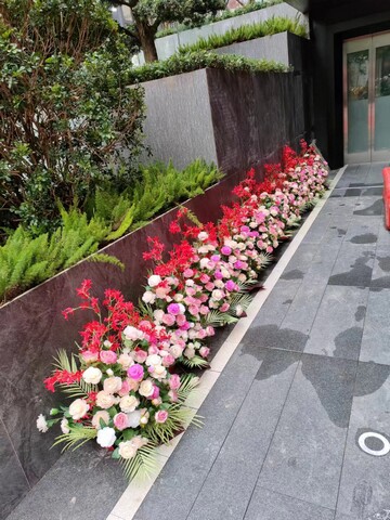 �����ṩ���滨���u ����  ��c  ��Y �ǱP�c���